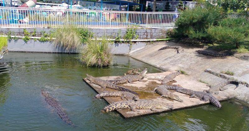 Google Maps/Efa NF83